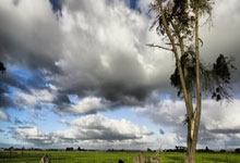 开云体育入口-中国乒乓奇迹上演：许昕三分雨点燃全场，爆冷战胜英国强敌